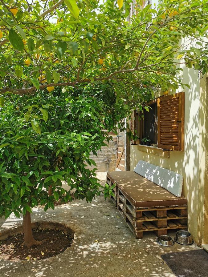 Villa Sofia Ανάβυσσος Εξωτερικό φωτογραφία