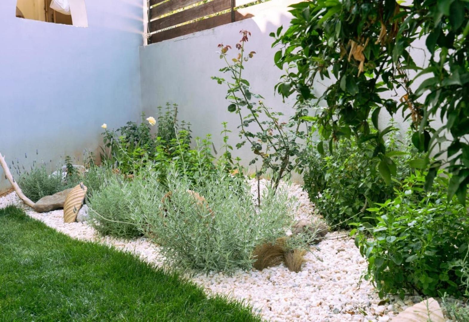 Villa Sofia Ανάβυσσος Εξωτερικό φωτογραφία