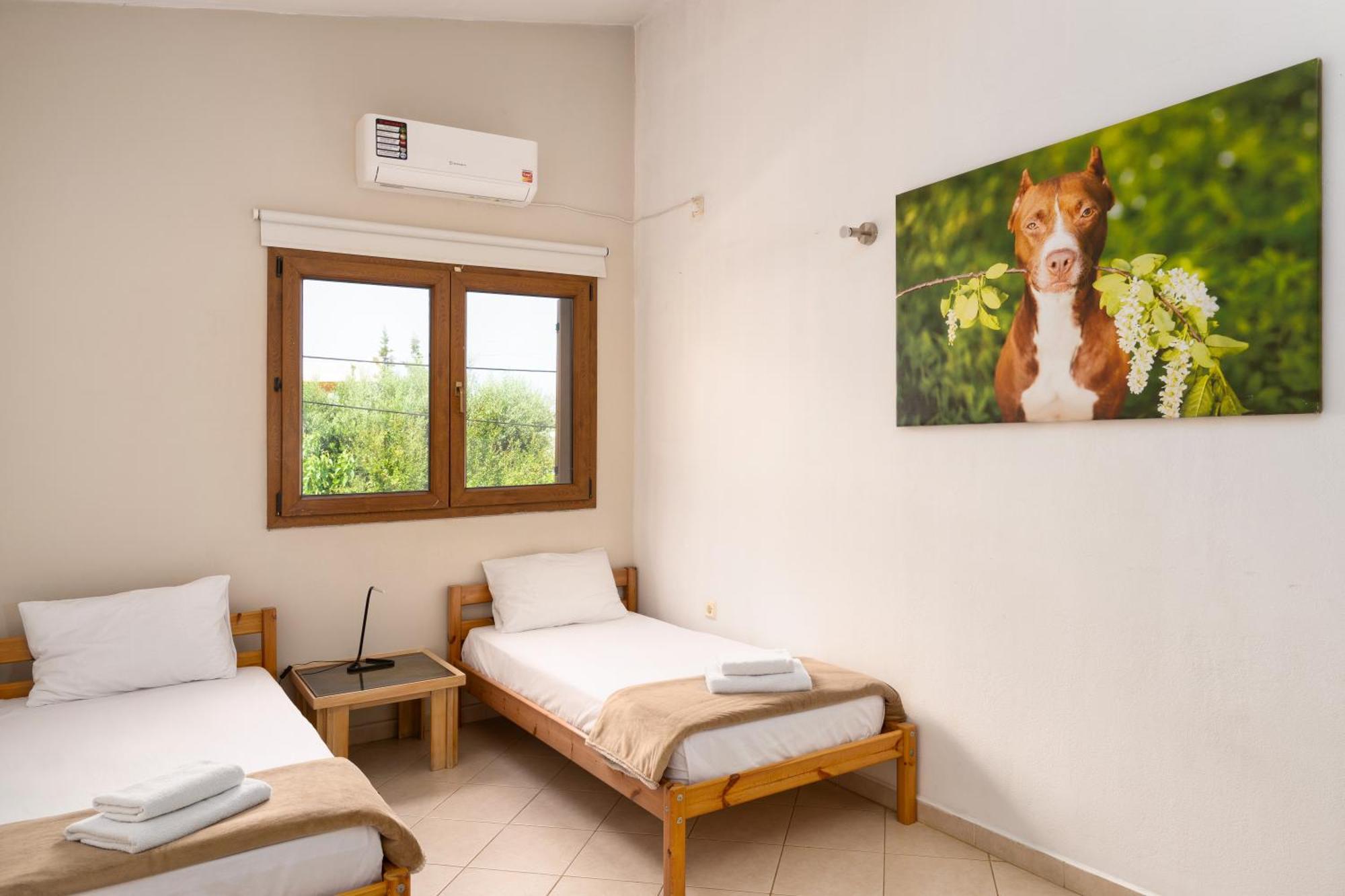 Villa Sofia Ανάβυσσος Εξωτερικό φωτογραφία